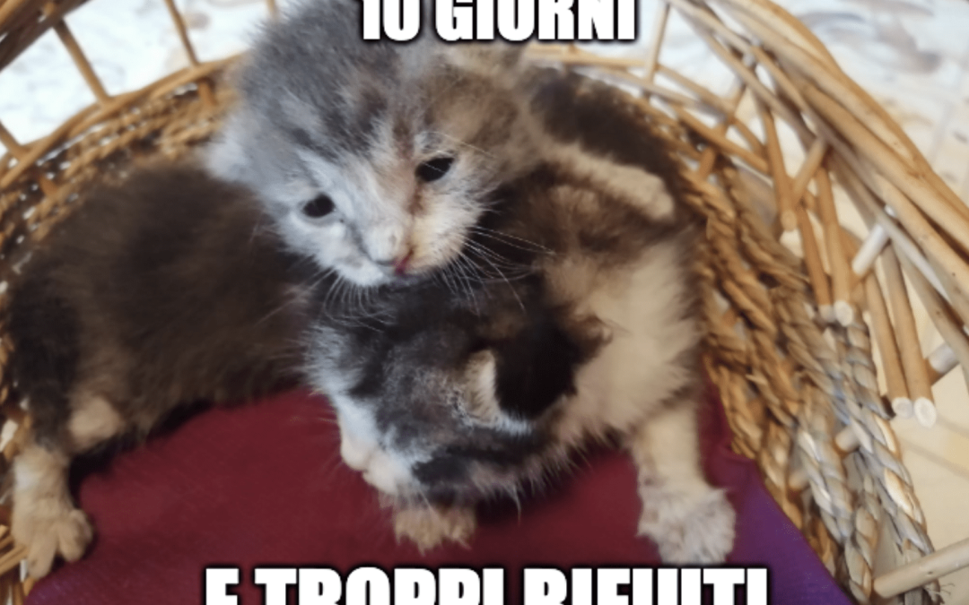 10 giorni e troppi rifiuti