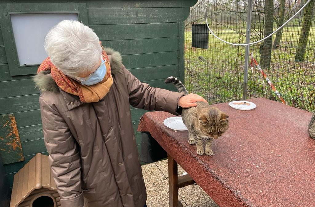 Boris va nella sua nuova casa