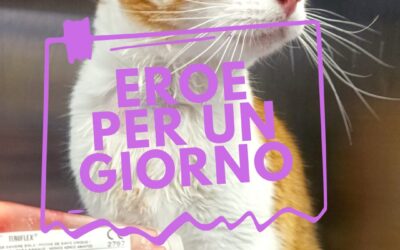 Tobia, eroe per un giorno